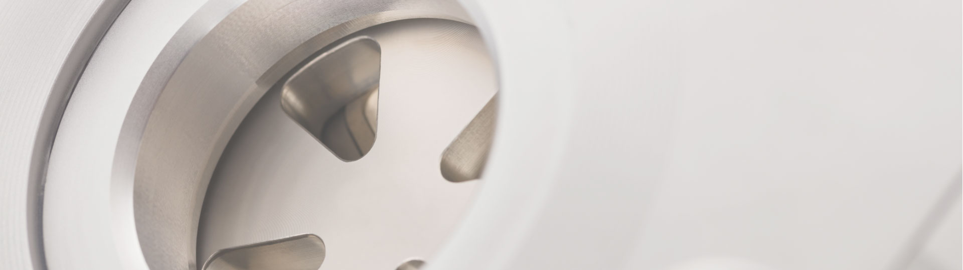 Segmented disc valves